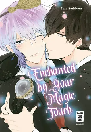Enchanted by your Magic Touch - Einzelband