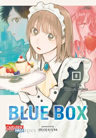 Blue Box - Band 08